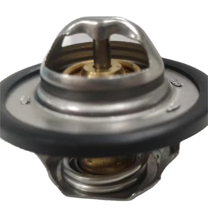 Automotive Thermostat 7700872554